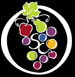Ontario South Coast Wines